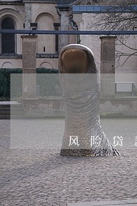 风险贷款逾期原因 风险贷款逾期原因