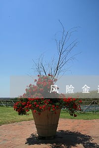 风险金逾期时间 风险金逾期时间