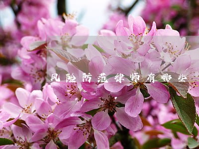 风险防范律师有哪些 风险防范律师有哪些