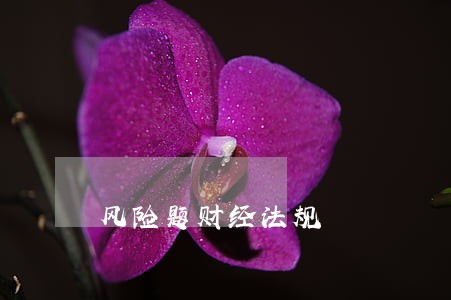 风险题财经法规