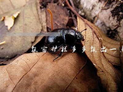 飘窗护栏多多飘出一点违法吗 飘窗护栏多多飘出一点违法吗