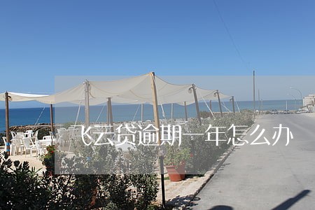 飞云贷逾期一年怎么办