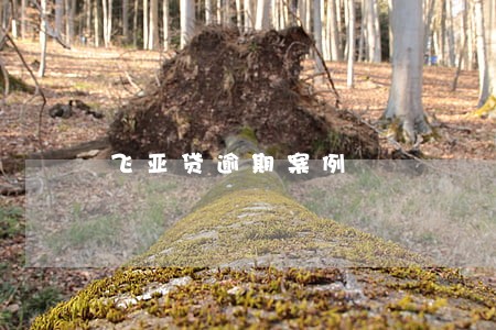 飞亚贷逾期案例 飞亚贷逾期案例