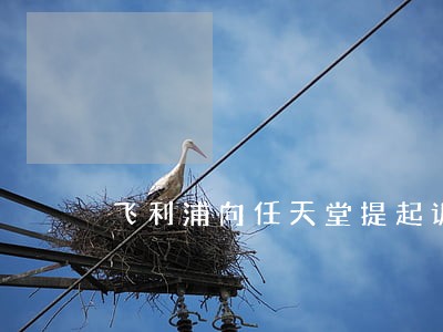 飞利浦向任天堂提起诉讼 飞利浦向任天堂提起诉讼