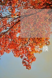 飞哥换电逾期20天没有缴费 飞哥换电逾期20天没有缴费