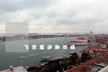 飞恶意逾期消除 飞恶意逾期消除