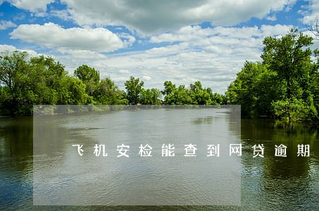 飞机安检能查到网贷逾期吗 飞机安检能查到网贷逾期吗