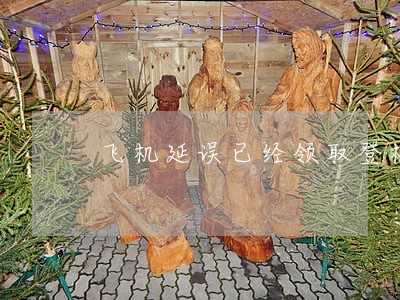 飞机延误已经领取登机牌签证逾期 飞机延误已经领取登机牌签证逾期