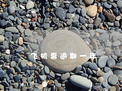 飞机票逾期一年 飞机票逾期一年