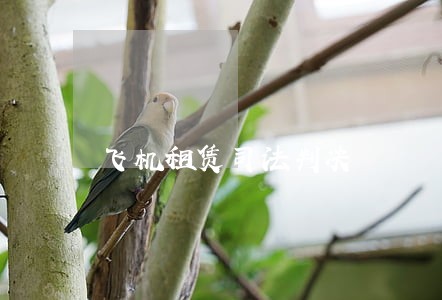 飞机租赁司法判决 飞机租赁司法判决