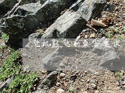 飞机起飞前乘客要求下飞机违法 飞机起飞前乘客要求下飞机违法