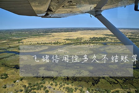 飞猪信用住多久不结账算逾期
