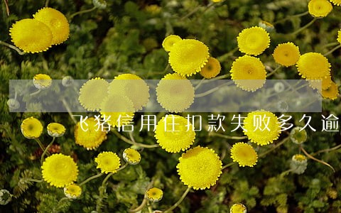 飞猪信用住扣款失败多久逾期 飞猪信用住扣款失败多久逾期