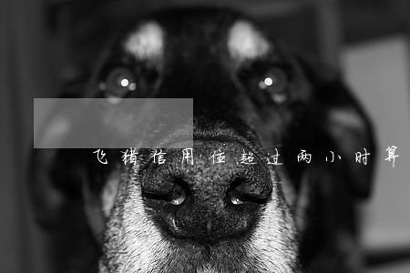 飞猪信用住超过两小时算逾期吗 飞猪信用住超过两小时算逾期吗