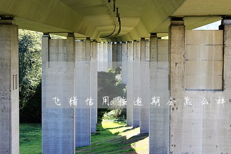 飞猪信用住逾期会怎么样 飞猪信用住逾期会怎么样