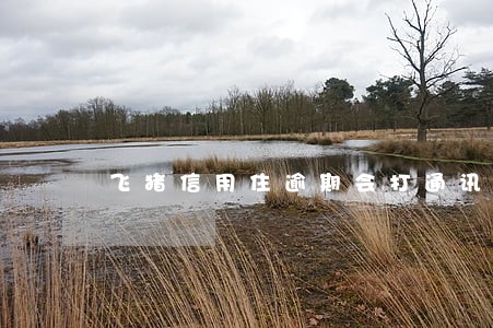 飞猪信用住逾期会打通讯录吗 飞猪信用住逾期会打通讯录吗