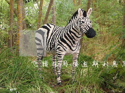 飞猪信用住逾期利息怎么算 飞猪信用住逾期利息怎么算