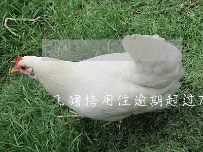 飞猪信用住逾期超过72小时 飞猪信用住逾期超过72小时