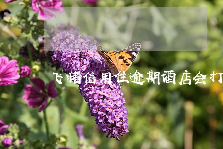 飞猪信用住逾期酒店会打电话吗 飞猪信用住逾期酒店会打电话吗