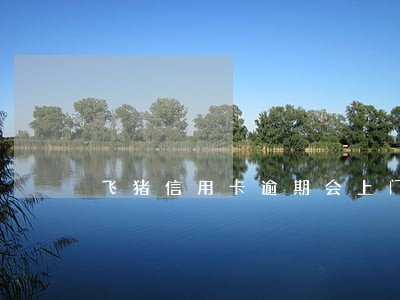 飞猪信用卡逾期会上门吗 飞猪信用卡逾期会上门吗