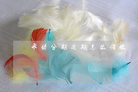 飞猪分期逾期怎么催收 飞猪分期逾期怎么催收