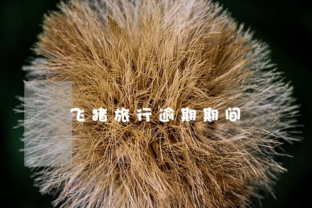 飞猪旅行逾期期间 飞猪旅行逾期期间
