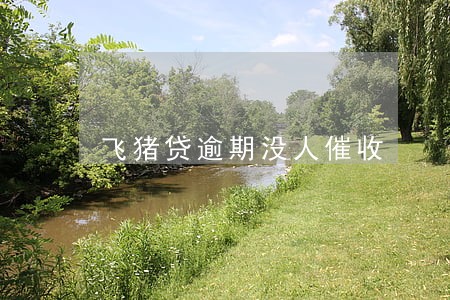 飞猪贷逾期没人催收 飞猪贷逾期没人催收
