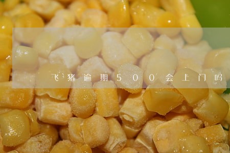 飞猪逾期500会上门吗 飞猪逾期500会上门吗