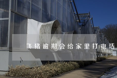 飞猪逾期会给家里打电话吗 飞猪逾期会给家里打电话吗