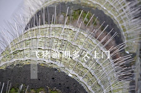 飞猪逾期多久上门 飞猪逾期多久上门