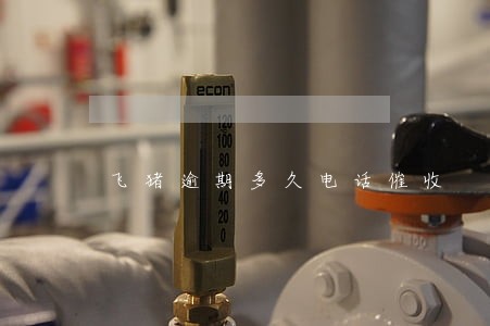 飞猪逾期多久电话催收 飞猪逾期多久电话催收