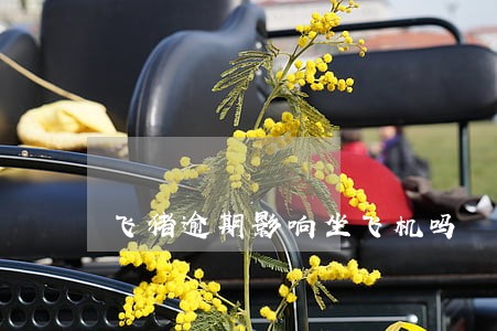 飞猪逾期影响坐飞机吗 飞猪逾期影响坐飞机吗