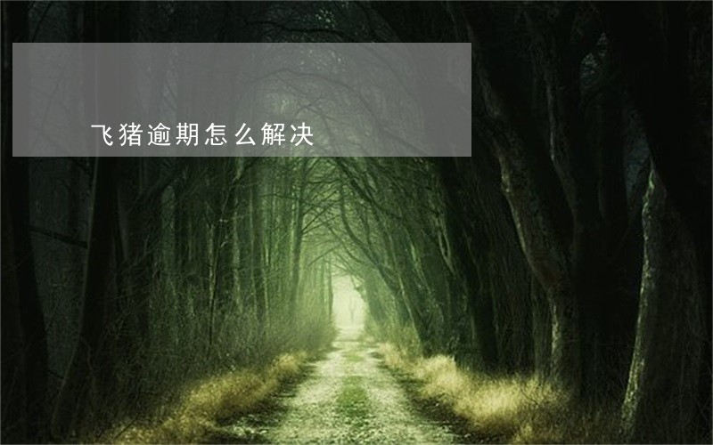 飞猪逾期怎么解决