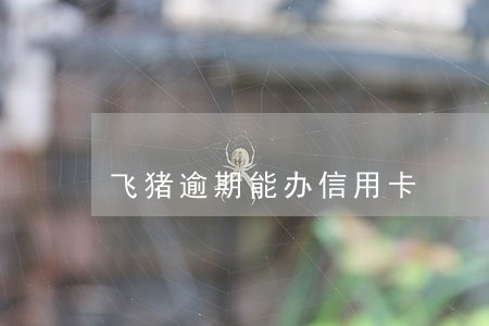 飞猪逾期能办信用卡 飞猪逾期能办信用卡