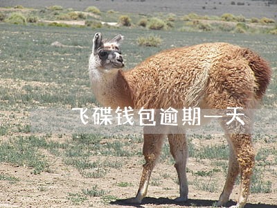 飞碟钱包逾期一天 飞碟钱包逾期一天