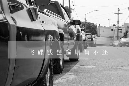 飞碟钱包逾期有不还 飞碟钱包逾期有不还