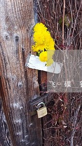 飞碟钱包逾期爆通讯录 飞碟钱包逾期爆通讯录