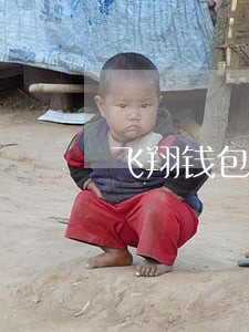 飞翔钱包逾期 飞翔钱包逾期