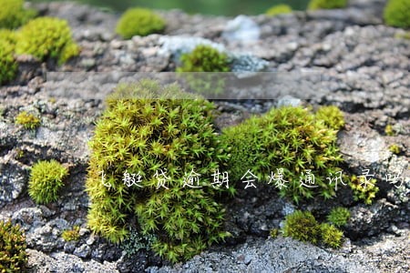 飞艇贷逾期会爆通讯录吗 飞艇贷逾期会爆通讯录吗