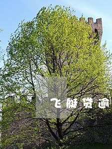飞艇贷逾期利息怎么算 飞艇贷逾期利息怎么算