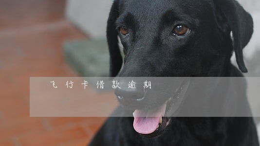 飞行卡借款逾期 飞行卡借款逾期