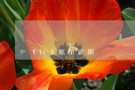 飞行卡账单逾期 飞行卡账单逾期