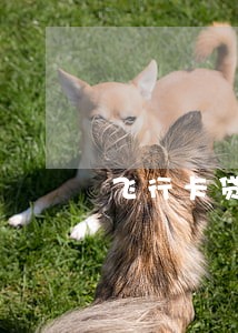 飞行卡贷逾期怎么办 飞行卡贷逾期怎么办