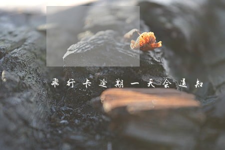 飞行卡逾期一天会通知 飞行卡逾期一天会通知
