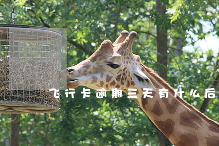 飞行卡逾期三天有什么后果 飞行卡逾期三天有什么后果