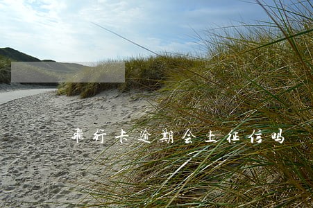 飞行卡逾期会上征信吗