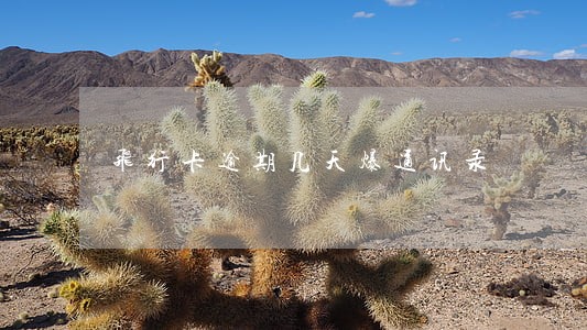 飞行卡逾期几天爆通讯录 飞行卡逾期几天爆通讯录