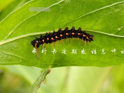 飞行卡逾期发信息诉讼 飞行卡逾期发信息诉讼
