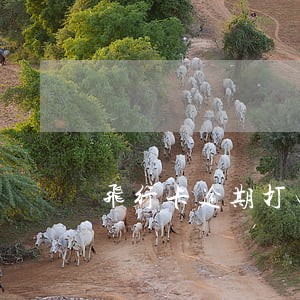 飞行卡逾期打电话找哪个部门投诉 飞行卡逾期打电话找哪个部门投诉