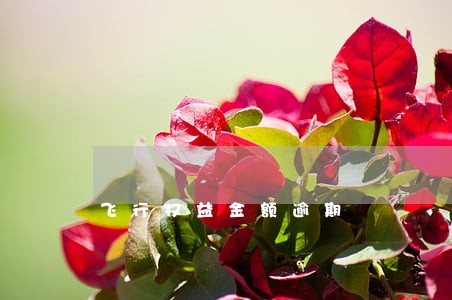 飞行权益金额逾期 飞行权益金额逾期